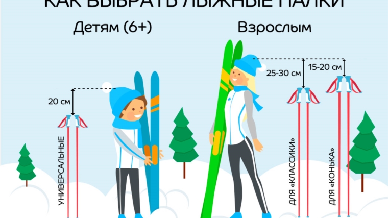 Лыжные палки: материалы, ростовка, особенности